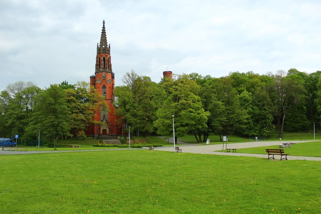 Sztuczna trawa. Jakie są techniczne możliwości zastosowania?